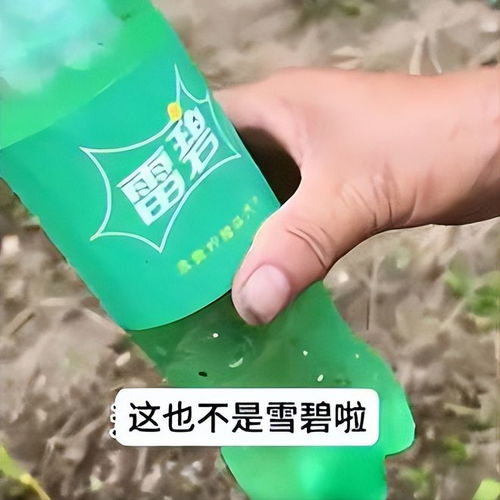 雪碧還是“雪碧”？岳陽外婆誤購“李鬼”飲料引發笑談